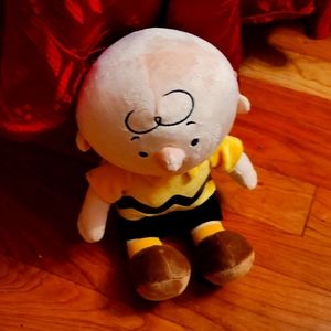 Charliy Brown from Peanuts